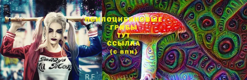 Псилоцибиновые грибы MAGIC MUSHROOMS  где найти   Братск 